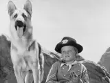 Fotograma de 'Las aventuras de Rin Tin Tin'