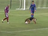 Un perro interrumpe un partido de Segunda B para llevarse el balón.