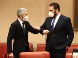 El ministro de Interior, Fernando Grande-Marlaska (i), saluda al diputado de EH Bildu, Jon Iñarritu, a su llegada a una Comisión de Interior celebrada en la Sala Constitucional del Congreso de los Diputados, en Madrid, (España), a 19 de febrero de 2021.