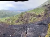 Extinguido el incendio de vegetación declarado el sábado en Alcalalí tras una quema descontrolada