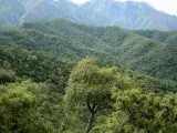 Moreno ve "más cerca" un "anhelo de todos" con la aprobación del Parque Nacional Sierra de las Nieves