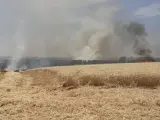 Sucesos.- Controlado un incendio inicialmente agrícola en Sanlúcar que afecta al Corredor Verde