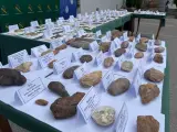 El alcalde de La Línea pide que la colección de útiles prehistóricos incautados sea expuesto en la ciudad