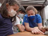Escolares participan en talleres de cata de agua y suelta de galápagos en el Ocenogràfic por el Día del Medio Ambiente