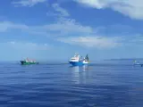Balfegó finaliza la campaña de la pesca 2021 de atún rojo con 2.410 toneladas