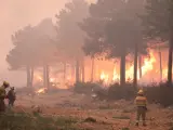 Bomberos luchan contra el incendio forestal declarado en Serradilla del Arroyo, Salamanca.