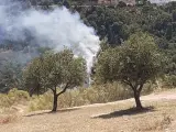 Incendios.- Estabilizado el fuego en un paraje del entorno del río Darro en la capital