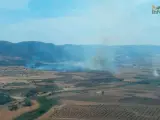 Controlado el incendio forestal declarado este viernes en Puertollano