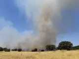 Efectivos del Infoex intervienen en 37 incendios durante la semana en Extremadura donde han ardido 580 hectáreas