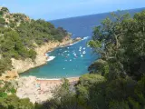 Aguas turquesas entre pinares y sin aglomeraciones, en la cala Pola de Tossa de Mar (Gerona).