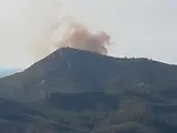 Declarado un incendio forestal en el Coll de sa Gramola