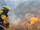 Bomberos de Palma e Ibanat actúan en un incendio agrícola en el Parc Bit