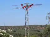 Uno de los apoyos, ya aislado, del tendido eléctrico corregido en la provincia de Jaén