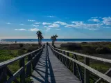 La provincia de Cádiz se ha convertido en uno de los grandes destinos de verano, donde, si buscas, también puedes encontrar playas tranquilas y con poca gente.