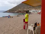 La bandera roja ondea en una playa de Águilas y la amarilla en 12 de Águilas, Cartagena y Mazarrón