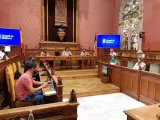 El Consell de Mallorca da cinco días más a Mac Insular para aportar toda la documentación relativa a su contrato