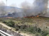 Sucesos.- Un incendio calcina unas 16 hectáreas del entorno de la laguna de Los Tollos entre El Cuervo y Jerez