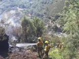 Extinguido el fuego que ha calcinado 5,7 hectáreas en Candeleda (Ávila) y controlado otro foco en la zona