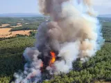 Los Bombers de la Generalitat trabajan un incendio forestal en Ventalló (Girona)