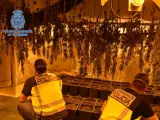 Una operación policial desmantela un cultivo de cannabis e interviene 647 plantas en Argamasilla de Calatrava