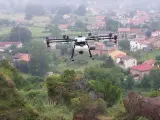Servicio de drones para aplicación de productos fitosanitarios en Cabárceno para control de plumeros. 27 JULIO 2021 © Oficina de comunicación
