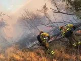 El incendio declarado en el pantano de San Juan, en Madrid