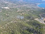 Extinguido el incendio forestal en el parque natural de Serra Gelada en Benidorm