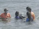 Asisten a un delfín varado en la playa de La Pobla de Farnals con una grave infección