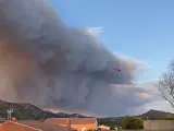 Medios áreos y terrestres combaten este fin de semana el incendio declarado este sábado entre Navalacruz y Cepeda de la Mora (Ávila), que ha quemado 10.000 hectáreas. El fuego ha avanzado con virulencia y rapidez hasta poderse ver el humo y las llamas desde muchos puntos de la mitad norte de la capital.