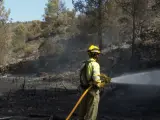 Controlado el incendio forestal de Azuébar tras afectar a 420 hectáreas, la mitad de ellas de parque natural