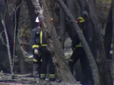 Destrozos causados por el incendio de Batres (Madrid)