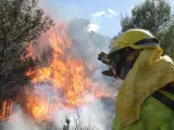 Se declara un incendio forestal en El Pinós (Alicante)