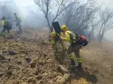 Zapata admite que el incendio de La Palma está "descontrolado"