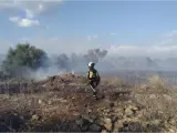Extinguido el incendio en Son Macià tras quemar 3,2 hectáreas de superficie