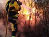 Extinguido un incendio forestal en Sa Pobla tras quemar casi dos hectáreas de cañizo