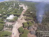 Incendios.-El Infoca actúa en un incendio forestal originado junto a una urbanización de Moguer
