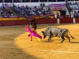 La corrida de toros del Coso Margarita llena hoteles y restaurantes durante el fin de semana en Calatayud