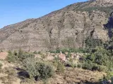 Adjudicados los trabajos de mejora de la pista forestal entre Taniñe y Villarijo (Soria) por 168.623 euros