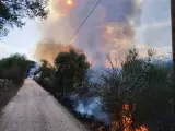 Incendios.- Controlado el incendio en el torrent de Massanella (Selva)