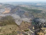 Asaja pide al Gobierno "corregir el error de excluir" el incendio de Alcaracejos de las ayudas