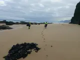 El Observatorio de Basura Marina de Fuerteventura recoge 17.000 kilogramos de residuos en los últimos seis meses