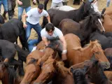Los 'aloitadores' vuelven al 'curro' de Sabucedo en el regreso de Rapa das Bestas