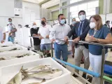 Los pescadores piden que "se abran las golas" y se evite la llegada de aguas con nutrientes al mar Menor