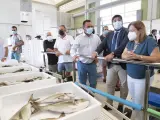 Los pescadores reclaman soluciones para el Mar Menor y temen por la campaña del langostino