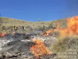 Incendios.-Controlado el incendio forestal en el paraje Montellano de Gérgal