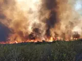 Vecinos y propietarios de Alcaracejos afectados por el incendio de agosto crean una plataforma