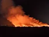 Extinguido el incendio forestal en Almenara tras quemar una hectárea de marjal