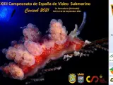 La Herradura acoge desde este miércoles el Campeonato de España de Vídeo Submarino con 14 equipos