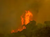 Incendios.- Desalojadas 20 viviendas más en Estepona ante la caída de pavesas derivadas del incendio