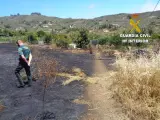 Detenido un hombre por el incendio del 27 de junio en Pino Santo Alto (Gran Canaria)